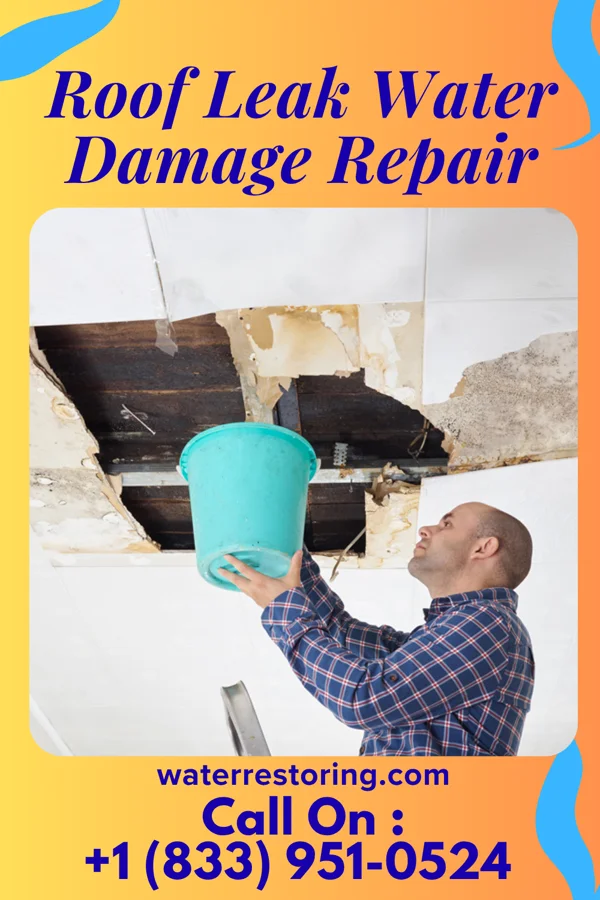 Roof Leak Water Damage Repair in Fayetteville, IL