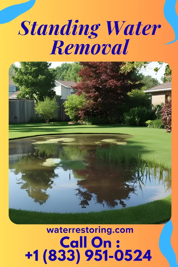 Standing Water Removal in Fayetteville, IL